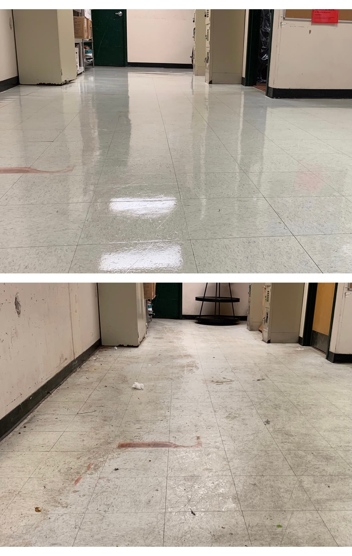 Floor Maintenance - Professional commercial cleaning service